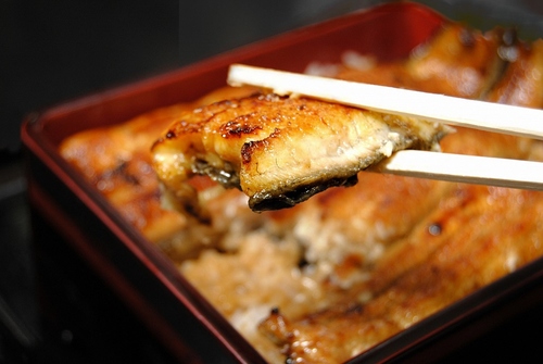 【うな繁】御食事券3,000円分