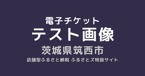 ご利用電子チケット（3枚綴）