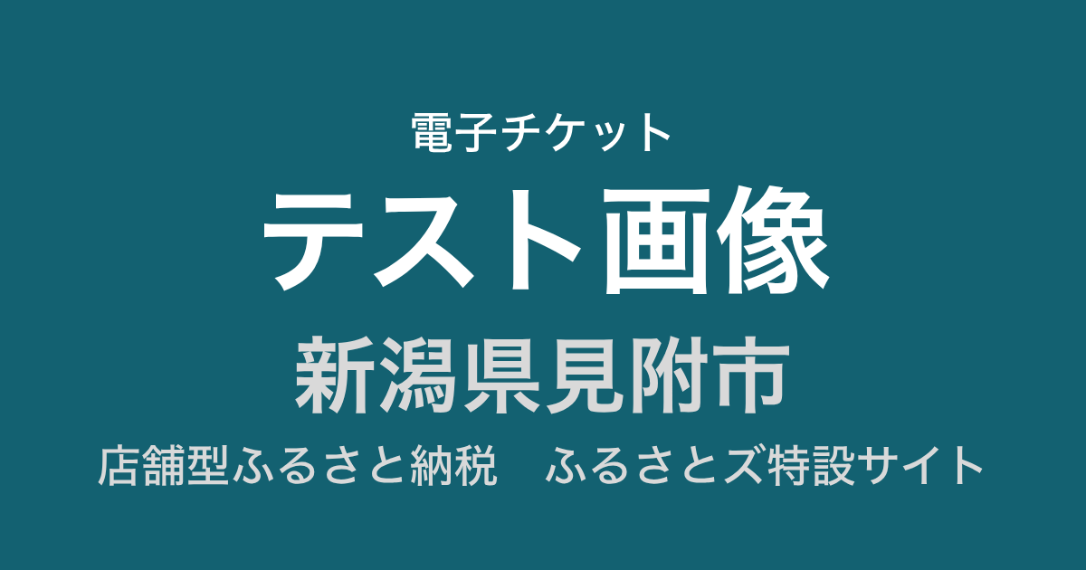 テスト電子チケット返礼品（1,000円×3枚）