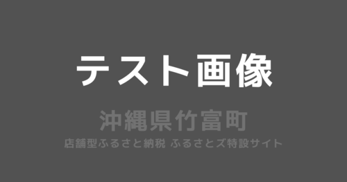 竹富町テスト返礼品　寄附使徒限定