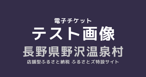  [電子チケット] テスト返礼品