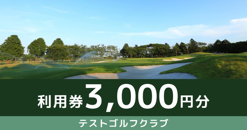 【3,000円分】テストゴルフクラブで使えるチケット