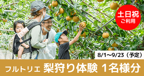 テスト フルトリエの梨狩り体験　 1名様分（土日祝）