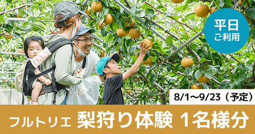 テスト フルトリエの梨狩り体験　 1名様分（平日）