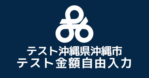 【金額自由入力】 テスト沖縄市返礼品