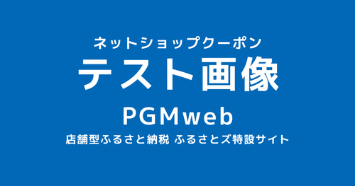 [3000円分]オンラインクーポンデモ返礼品