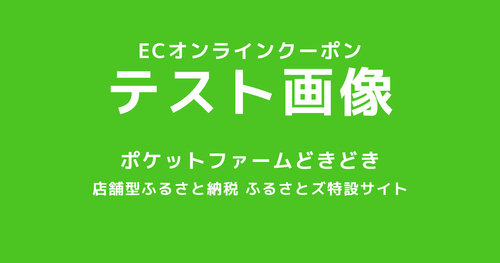 テスト返礼品【ECクーポン】