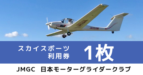 デモ　スカイスポーツ 利用券 1枚（大利根飛行場）