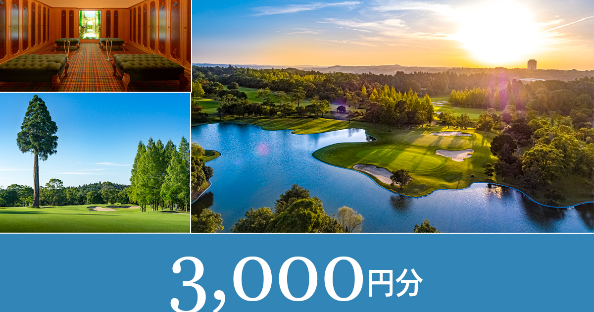 【金額自由入力】ムーンレイクゴルフ利用券