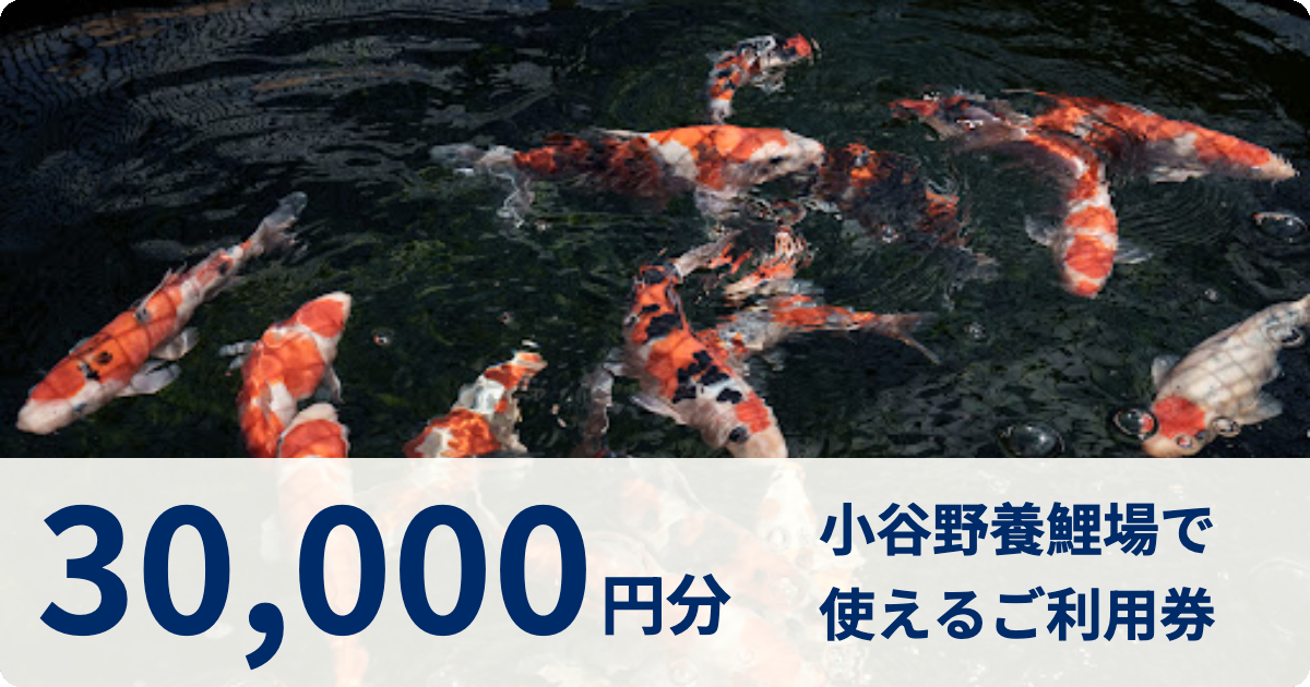 【30,000円分】小谷野養鯉場で使えるご利用券