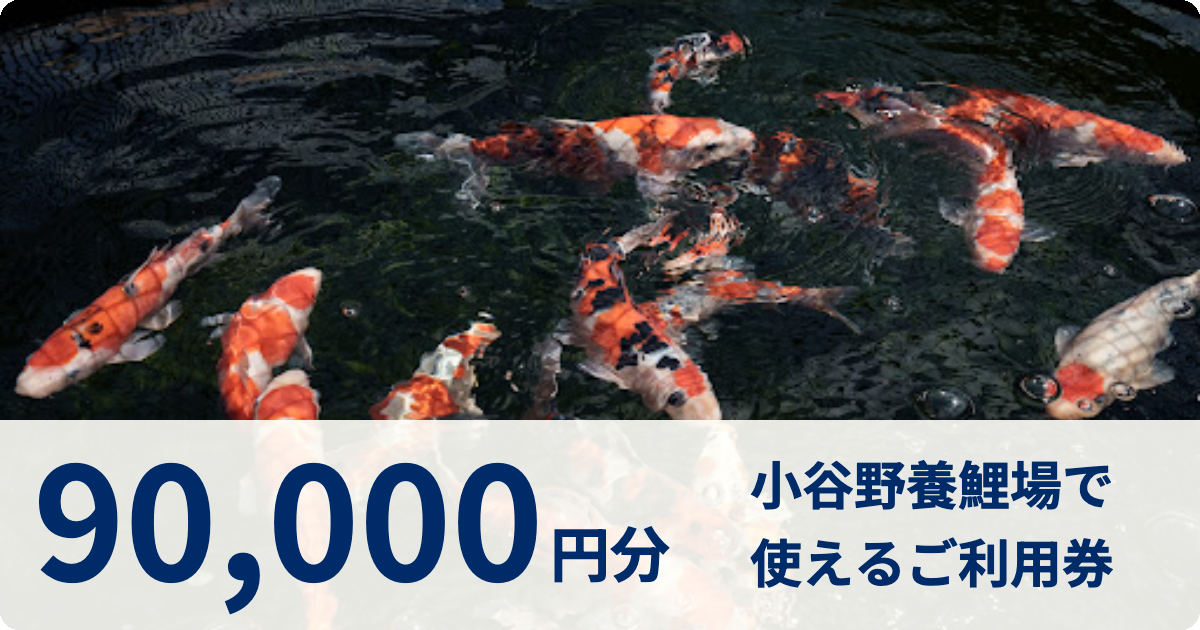 【90,000円分】小谷野養鯉場で使えるご利用券