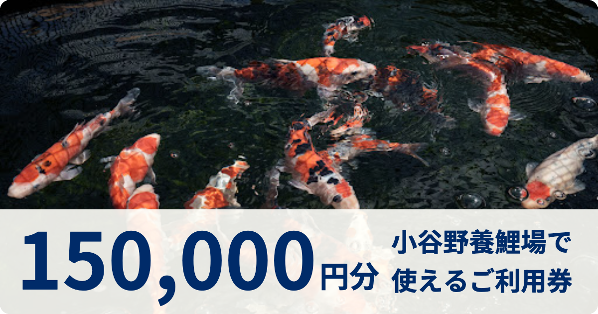 【150,000円分】小谷野養鯉場で使えるご利用券
