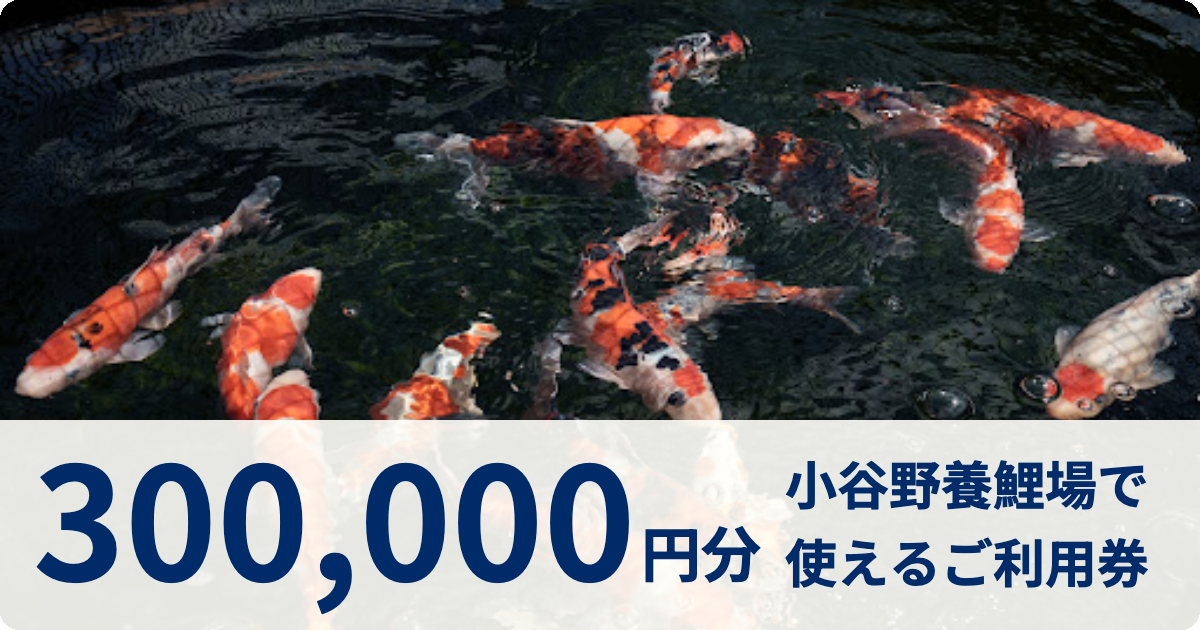 【300,000円分】小谷野養鯉場で使えるご利用券