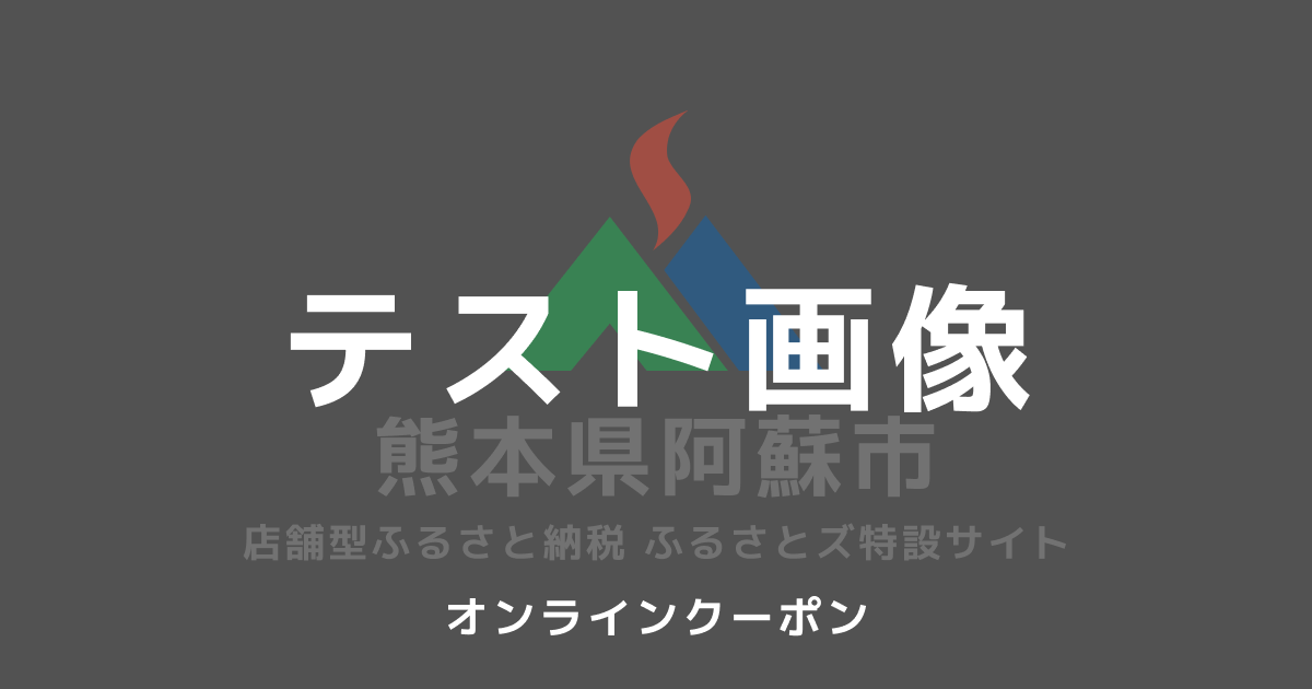 【オンラインクーポン】テスト返礼品
