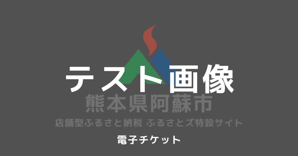 【電子チケット】テスト返礼品