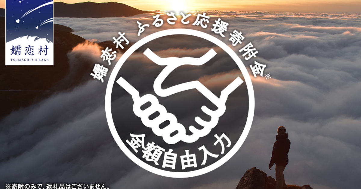 テスト　ふるさと応援寄附金 【金額自由入力】寄附のみの応援  返礼品なし 