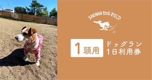 !!テスト!!ドッグラン1日利用券（1頭用）