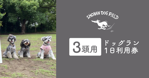 !!テスト!!ドッグラン1日利用券（3頭用）