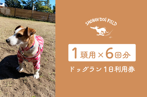  !!テスト!!ドッグラン利用回数券（6回分・１頭用）