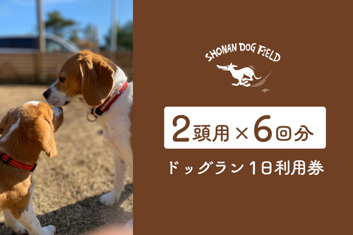 !!テスト!!ドッグラン利用回数券（6回分・2頭用）