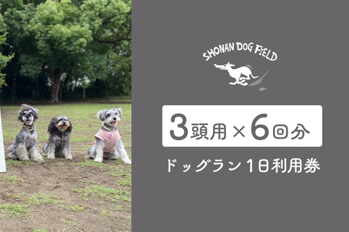 !!テスト!!ドッグラン利用回数券（6回分・3頭用）