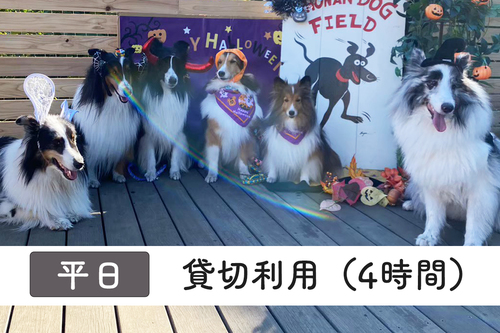  !!テスト!!貸切利用（平日・４時間分）