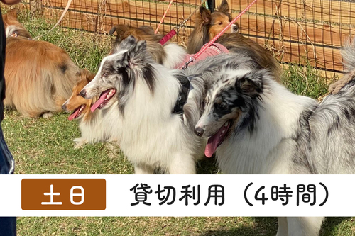 !!テスト!!貸切利用（土日・４時間分）
