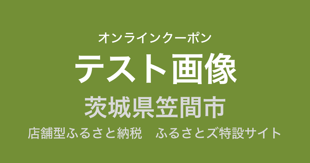 【オンラインクーポン】テスト返礼品（3,000円分）