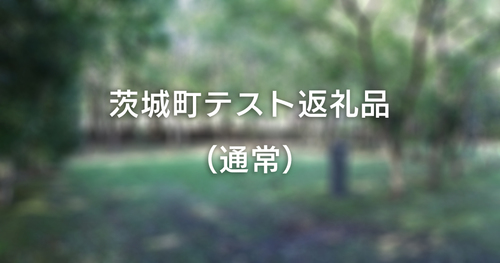 【通常版】テスト返礼品