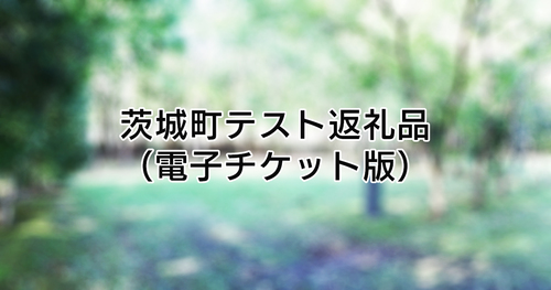 【QRコード確認版】テスト返礼品