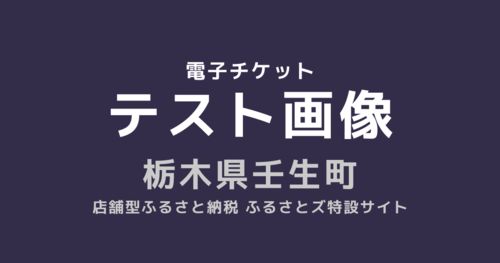 ３枚綴り【電子チケット】テスト壬生町返礼品