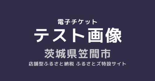 テスト笠間市返礼品【電子チケット】