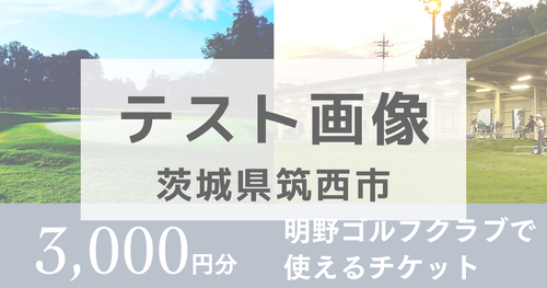 【3,000円分】テストゴルフクラブで使えるチケット