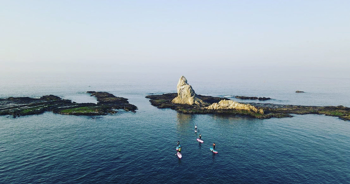 テスト【5,000円分】Hosoii Surf & Sportsご利用クーポン券の画像3