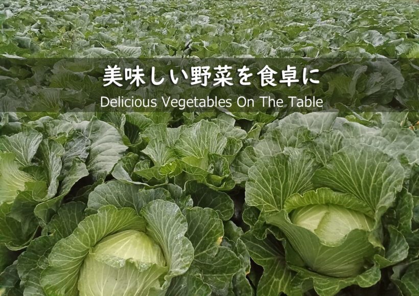 夏の味覚セット　クーポン　3000円分の画像5