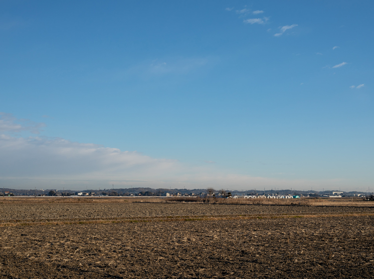 テスト）ワイルドスワンズ オンラインショップクーポン（10,000円分）テストの画像7