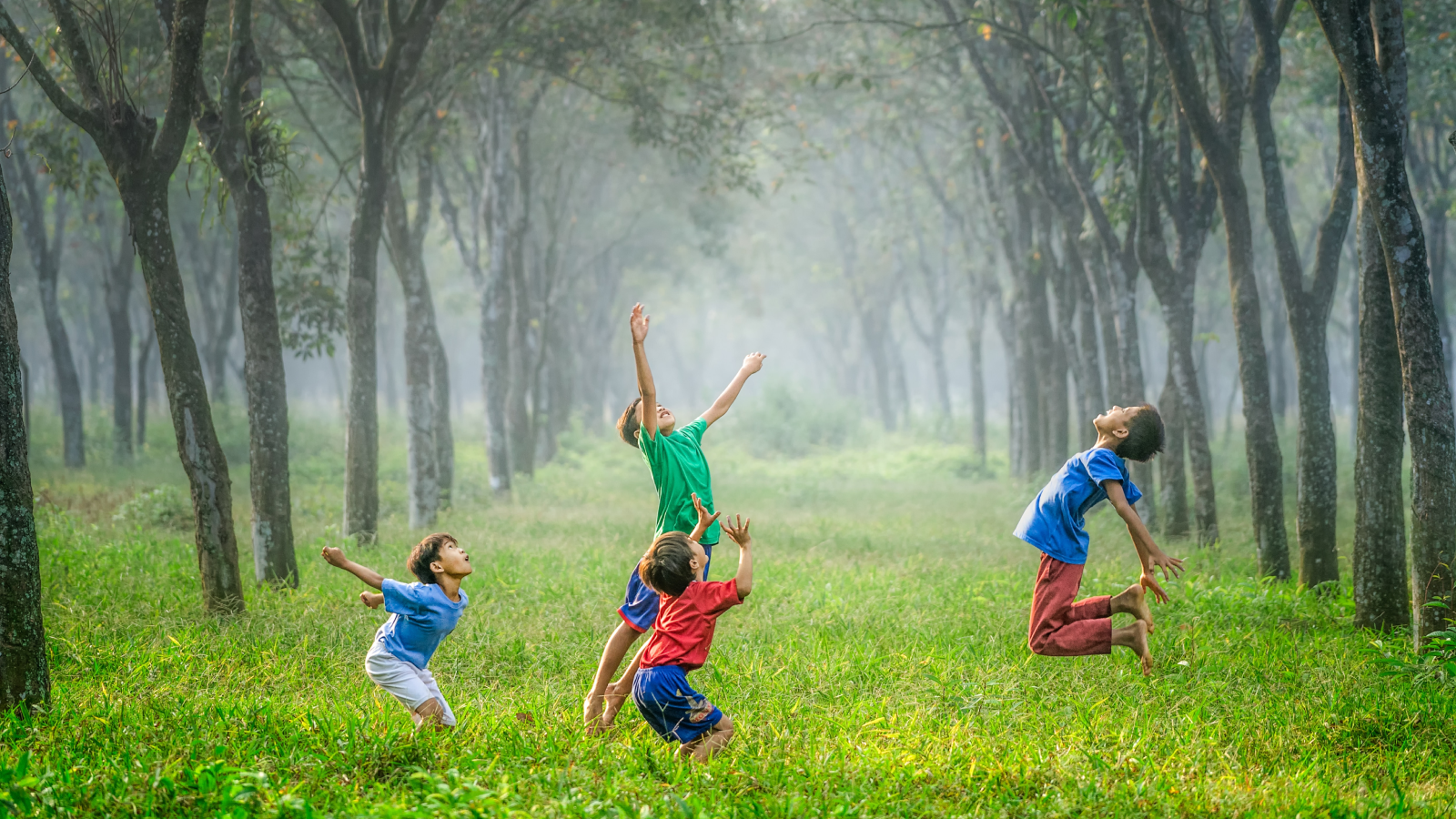 未来へのつながりプロジェクト