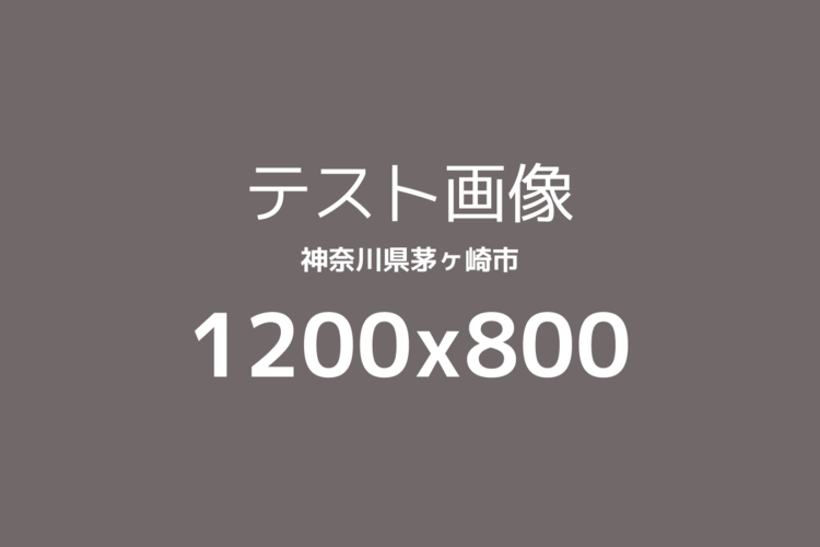 テスト茅ヶ崎市事業所ページ