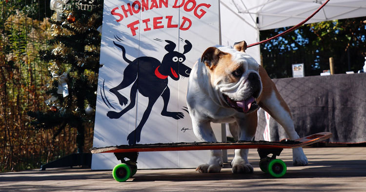 テストShonan Dog Field