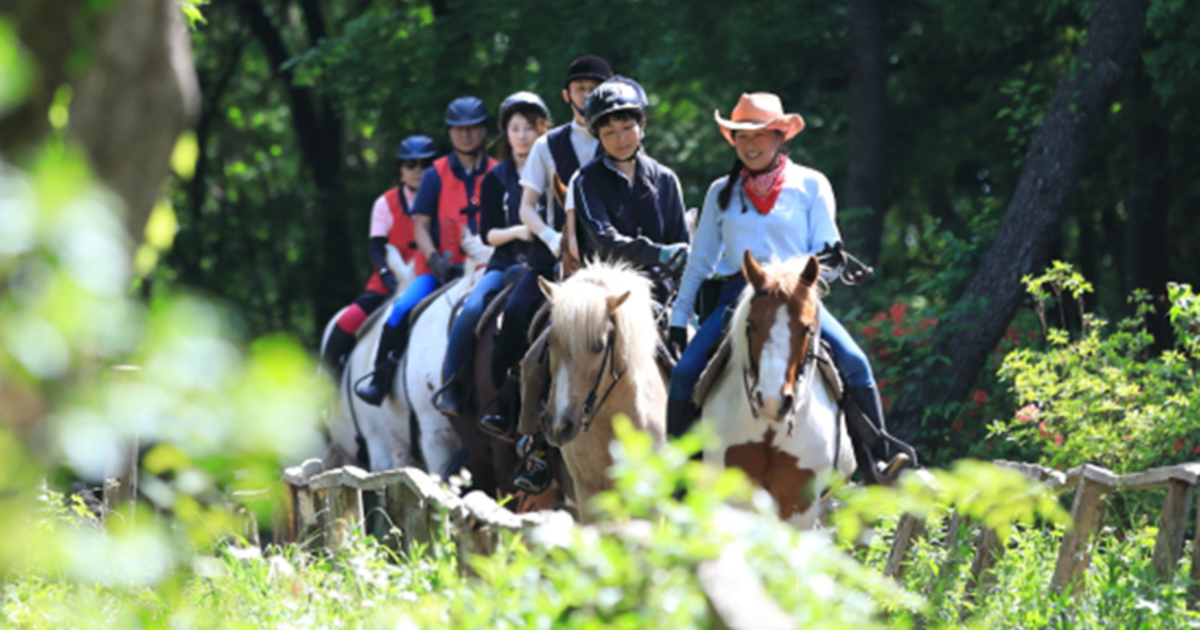 大和ホースパーク